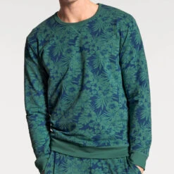 Calida Sweatshirt 100% Nature